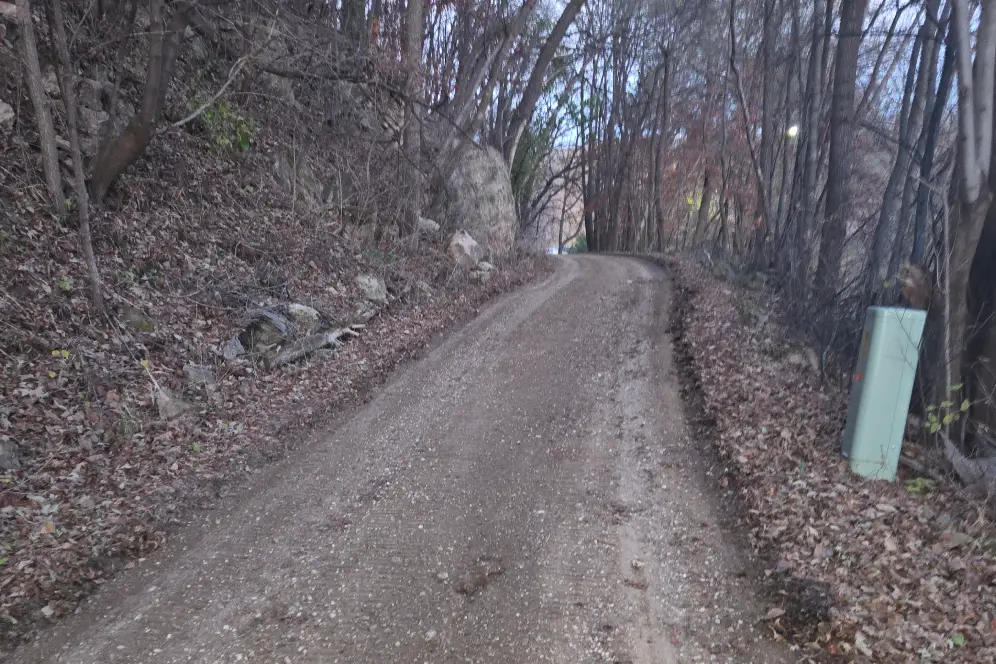 Front view woman with beautiful flowers<br />