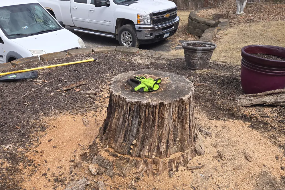 Grassland landscape and greening environment park background<br />