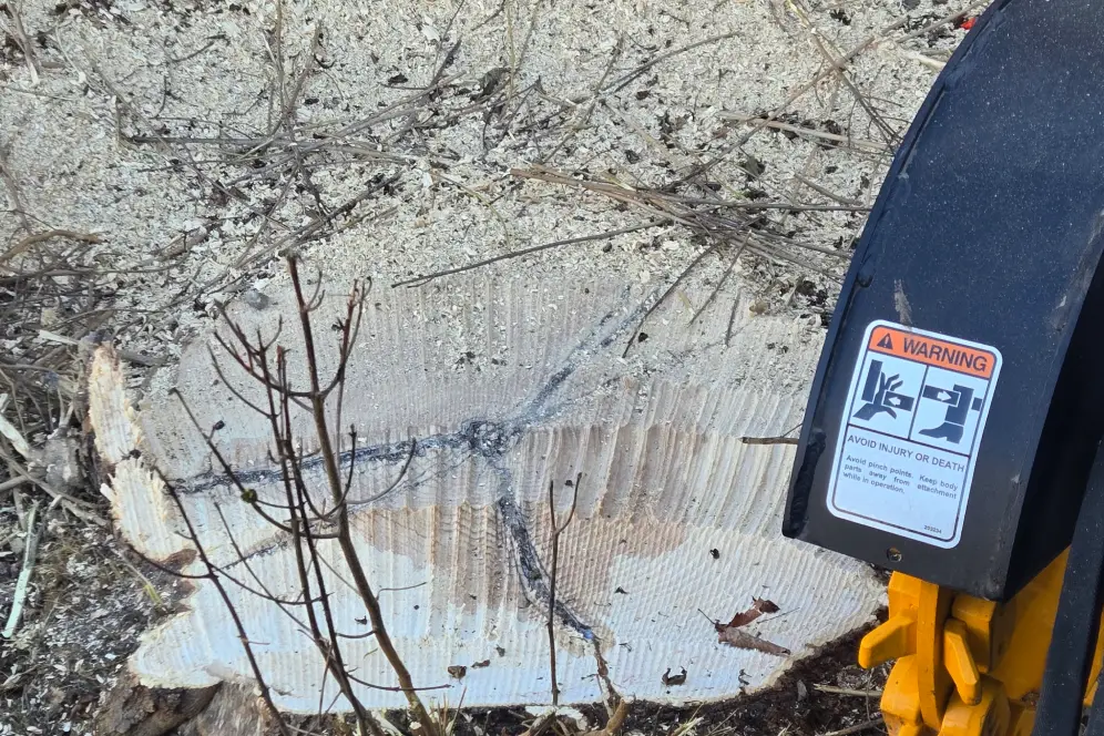 Front view woman with beautiful flowers<br />