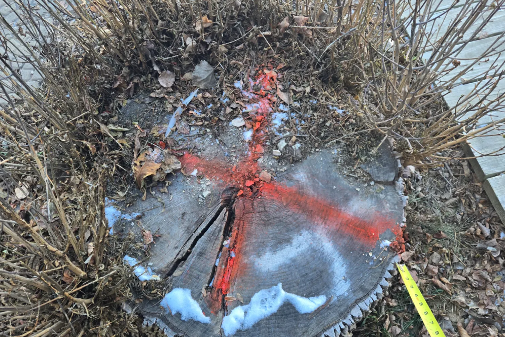 Outside view of the restaurant cottage at night time<br />
